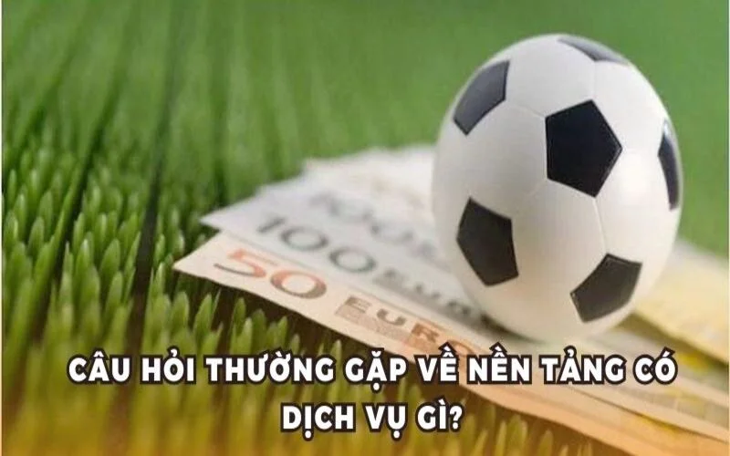 Câu hỏi thường gặp về nền tảng có dịch vụ gì?