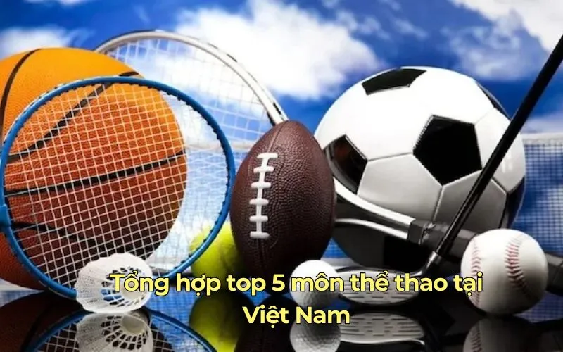Tổng hợp top 5 môn thể thao tại Việt Nam